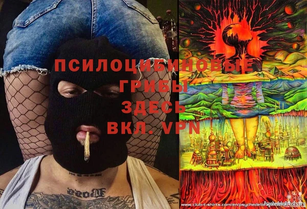 стафф Гусев