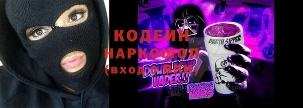 стафф Гусев