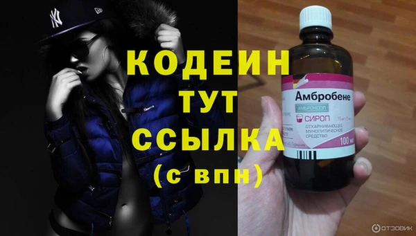 стафф Гусев