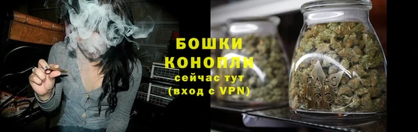 стафф Гусев
