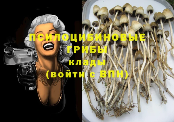 2c-b Гусь-Хрустальный