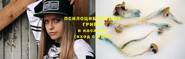 стафф Гусев