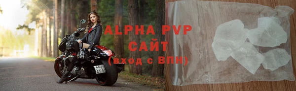 стафф Гусев
