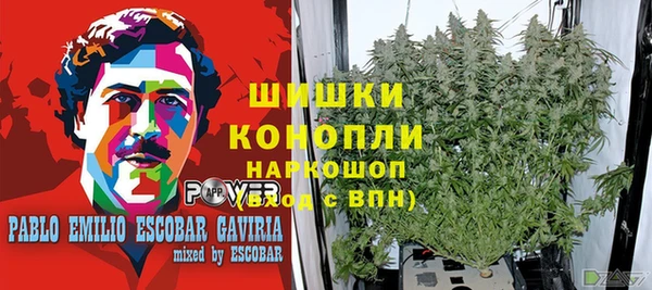 2c-b Гусь-Хрустальный