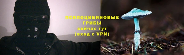 стафф Гусев