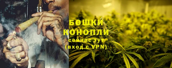 стафф Гусев