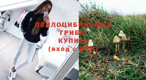стафф Гусев