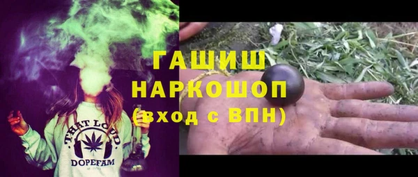 стафф Гусев