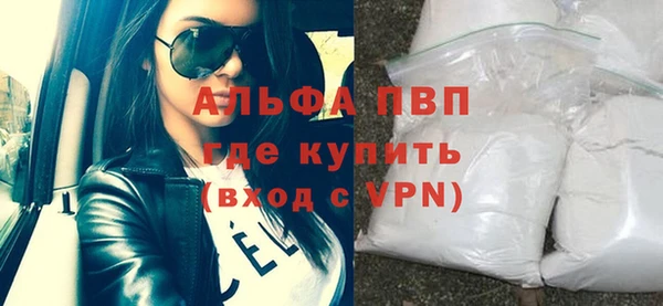 стафф Гусев