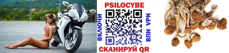 Купить закладки  Бугуруслан  Псилоцибиновые грибы мицелий 